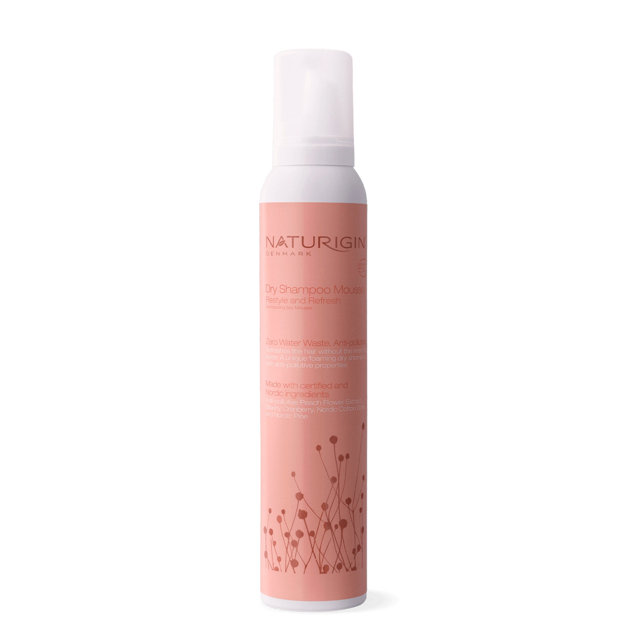 Dry Shampoo Mousse